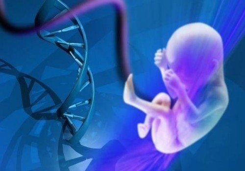 堵奶去医院效果好还是找专业的催乳师好？盲目堵奶对身体并不好
