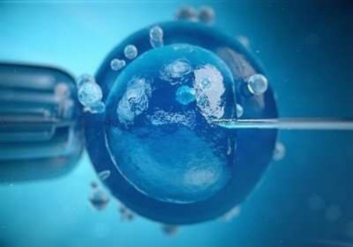 女性做人工授精的四大流程一览，按流程操作受孕成功率更高