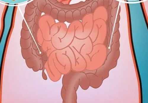 宁波助孕公司：受孕时间不知道怎么计算-教你这四招轻松推算怀孕周期