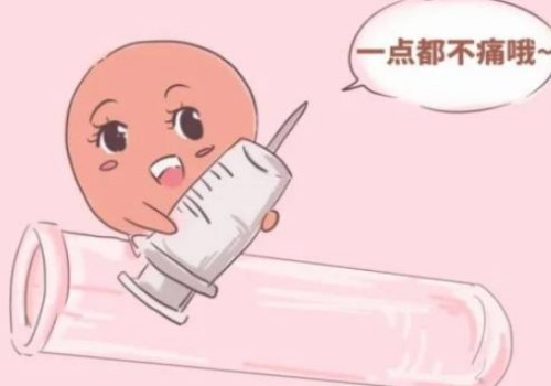 宫寒的女性可以试试这些暖宫的小方法