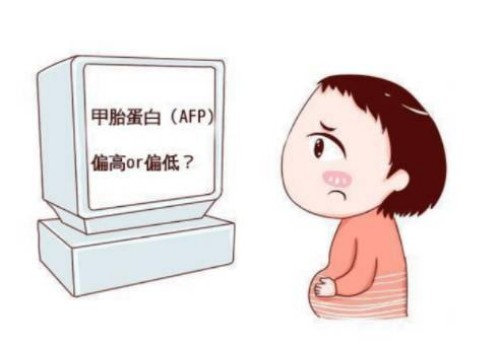 子宫内膜c型别做试管，这些情况不适合做囊胚移植