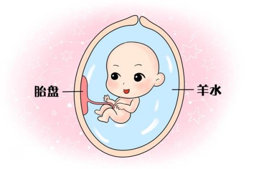 内膜薄对女性的生育功能有影响，内膜偏低可能会导致不孕