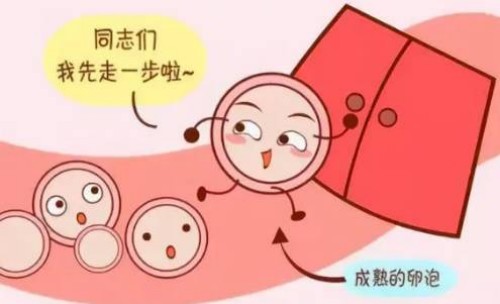 宁波试管婴儿价格：注意怀孕中期这些暗示你胎停育的征兆