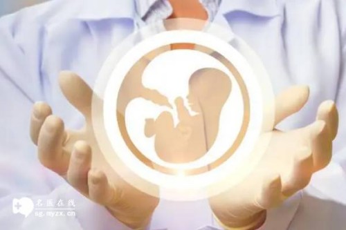 2023随州中心医院试管婴儿全方位指南，附助孕成功率预估