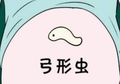 胖多囊怎么减肥最快-这三个减肥小技巧要牢记