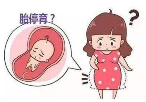 宁波助孕机构：试管取卵到底要不要打麻药，具体情况具体分析