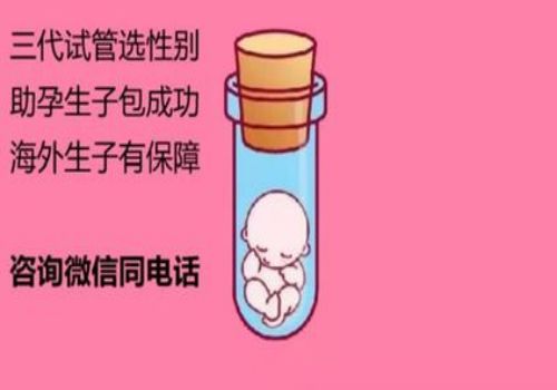宁波三代试管助孕：“养”卵秘籍：女性吃什么可以提升卵子质量？