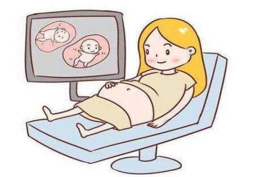 宁波试管助孕价格：x和y精子谁先到达就会结合吗？看这里，这几个区别可准确判断