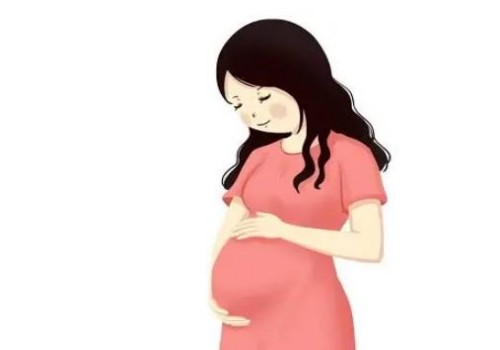 精子白细胞高的原因,教你几个治疗小妙招