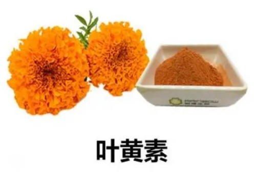 宁波试管婴儿价格：怀孕期间服用中药要小心，最好在医生的指导下服用