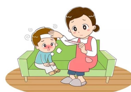 备孕期间卵泡发育不好，可以试试这几类食物