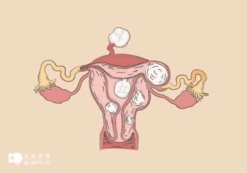 顺产下边是不是特别松,顺产下边松弛还能恢复吗