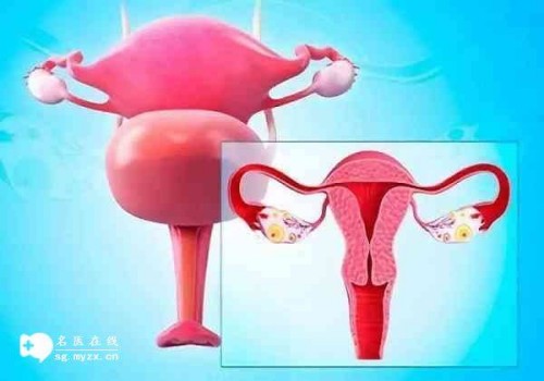 宁波助孕公司：乳腺癌的早期身体表现是什么,要认识以及及时预防