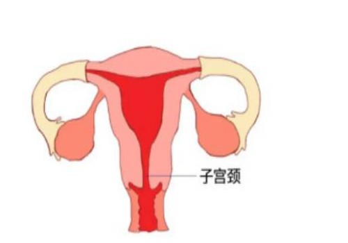 宁波助孕：顺产和剖腹产优缺点对比，给准妈妈带来最全面介绍