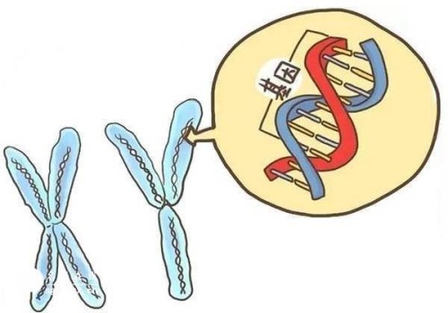 人流手术之后没有怀孕的可能性原因，应该怎么样治疗？